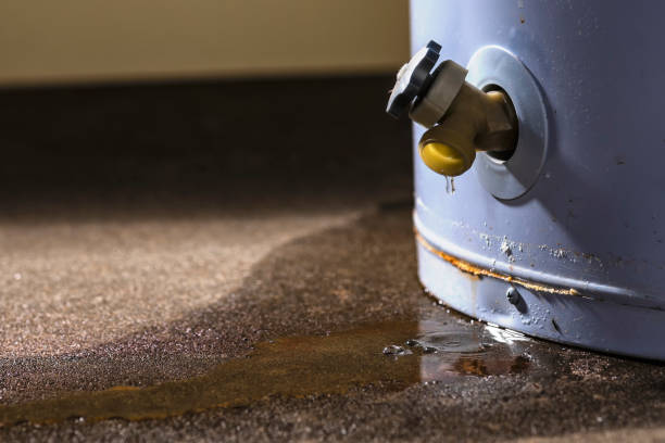 Best Water damage restoration mold remediation  in Moorestown Lenola, NJ