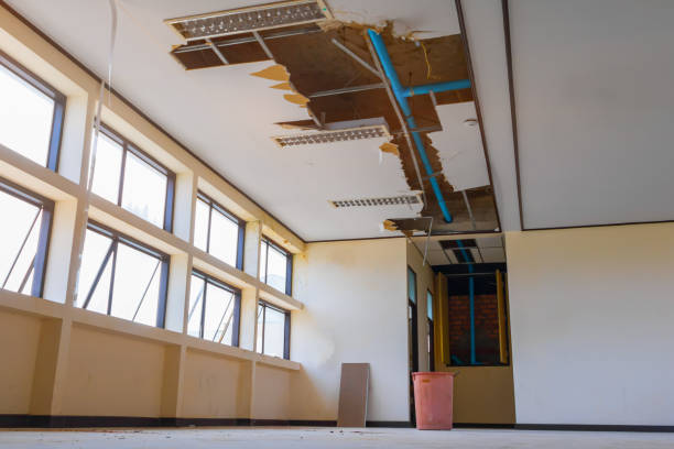 Best Water damage cleanup near me  in Moorestown Lenola, NJ