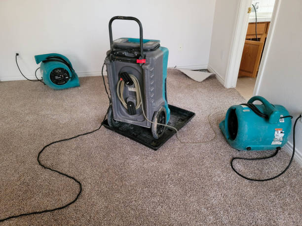 Best Carpet water damage restoration  in Moorestown Lenola, NJ