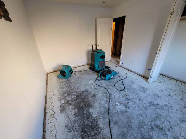 Best 24-hour water damage restoration  in Moorestown Lenola, NJ