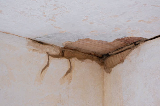 Best Basement water damage restoration  in Moorestown Lenola, NJ
