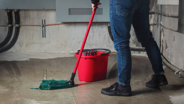Best Carpet water damage restoration  in Moorestown Lenola, NJ