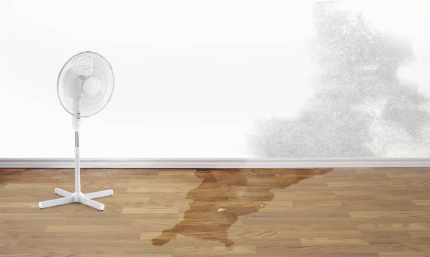 Professional Water damage restoration in Moorestown Lenola, NJ