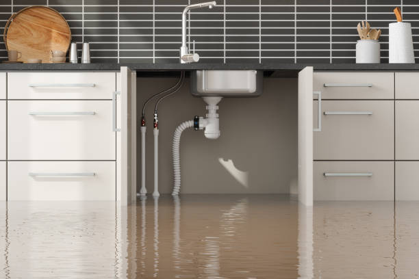 Best Water damage contractors near me  in Moorestown Lenola, NJ