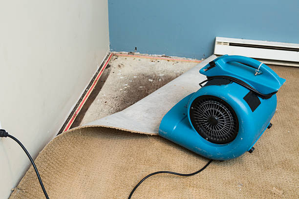 Best Mold removal after water damage  in Moorestown Lenola, NJ